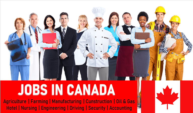 assignment in canada jobs